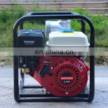 BISON(CHINA)OHV Four Stroke BS168F-1 Engine Water Pump