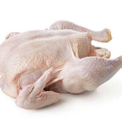 Premium Grade Halal Whole Chicken at Best Price