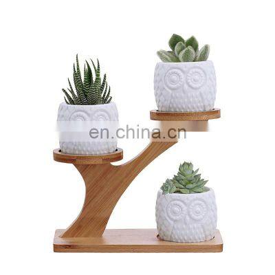 3pcs Owl Succulent Pots with 3 Tier Bamboo Saucers Stand Holder White Modern Decorative Ceramic Flower Planter Plant Pot