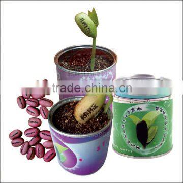 tinplate magic bean cans with easy open ends