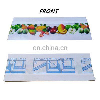 Window Clear Fly Trap Catcher Gnats Sticky Strip Fruit Fly Glue Trap Attrape Mouches Sticker photo-4