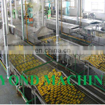 High Efficiency Canned Mandarin Orange Processing Plant / Orange Processing Machine