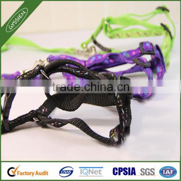 China wholesale various styles of bungee dog leash