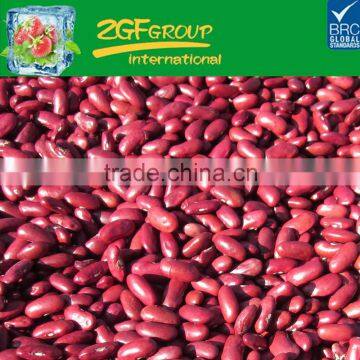 Hot Sale fresh and healthy light speckled kidney beans