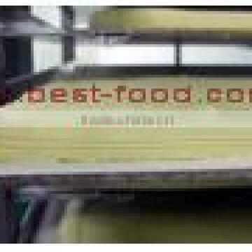 TY-3000 Automatic Frozen Paratha Making Machine photo-4