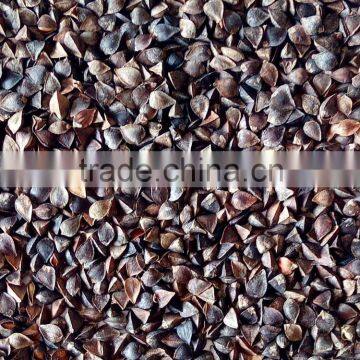 Origin Inner Mongolia Buckwheat for sale