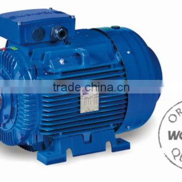 Three Phase High Efficiency Asynchronous Cast Iron Motor