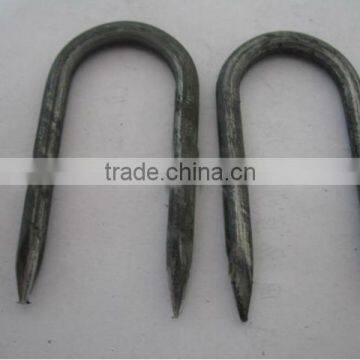 U Pin Nail /U Nails/ Artificial Grass Nails photo-3