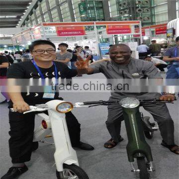 Electric Bicycle 2015