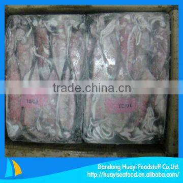 BQF clean frozen squid hot sale