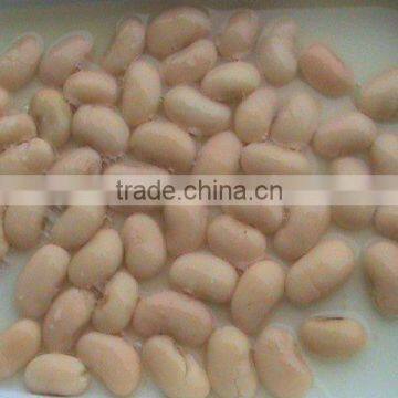 popular food of canned white kidney beans you wanted