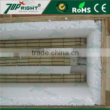 Ceramic radiant tube heating elements for water heater