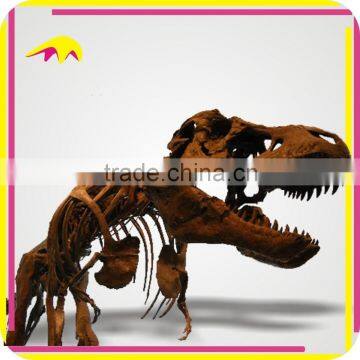 KANO2126 Handmade Vivid Real Size Dinosaur Forssil Skeleton photo-2