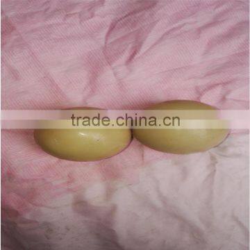 Small Plastic Bushings photo-1