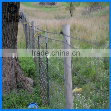 1.33lbs/feet 8FT Green Painted Studded T Post Wholesale photo-3