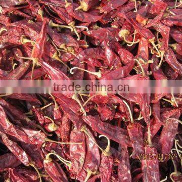 American Red Chilli