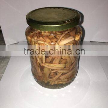 Kohila in Brine photo-2