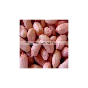 Peanut With Shell photo-5