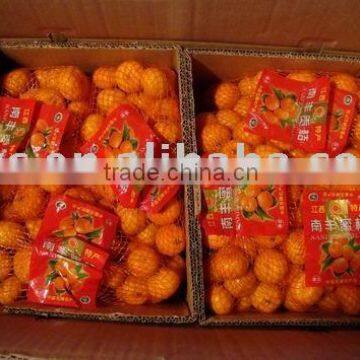 top and sweet Nanfeng Orange