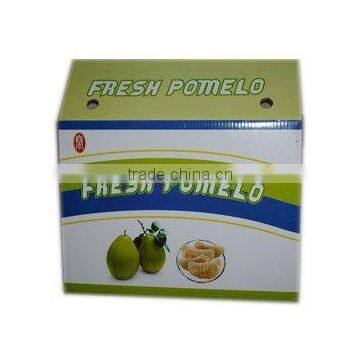 Chinese Honey Pomelo From Pinghe