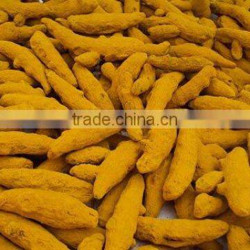 Turmeric Fingers photo-3