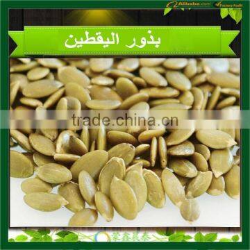 New Crop Hot Chinese Shine Skin Pumpkin Seeds , Benefits of Pumpkin Seed photo-4