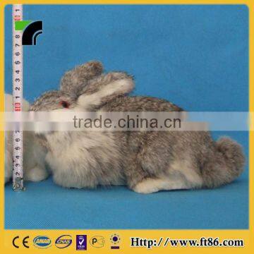 New Products Miniature Animals Gardening Wholesale Taxidermy photo-6