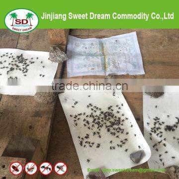 Glue Traps Paper, Fly Glue Board, Fly Paper