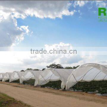 Tunnel 600 film cover low cost agricultural farming Galvanized Steel Frame green house easily assembled single or multi span