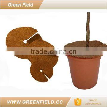 Green Field coco mat production wholesale coco fiber multh mat