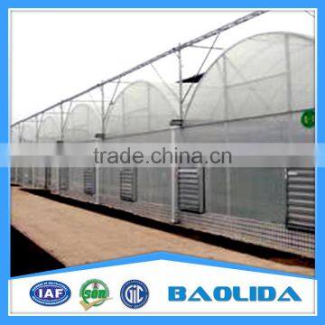 Multi Span Greenhouse /Invernadero For Vegetables photo-4
