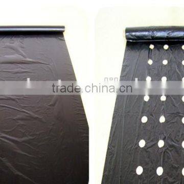 Agriculture Usage Perfoared Mulch Film With Holes photo-2