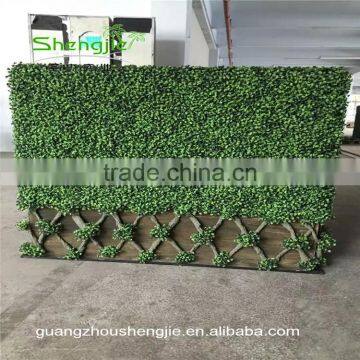 SJLJ13608 high quality artificial grass wall decorative artificial boxwood hedge