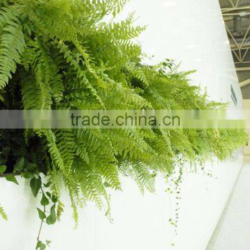 Home and Outdoor Decoration Synthetic Cheap Artificial Vertical Green Grass Wall E08 04R11 photo-3