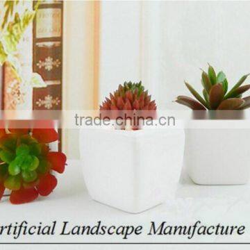 Artificial Green Mini Plants for Office Decoration photo-5