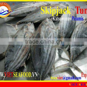 FROZEN W/R SKIPJACK TUNA