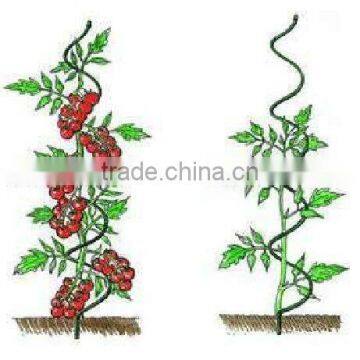 tomato spiral growing wire