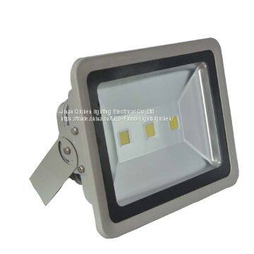 Maintenance-free LED Floodlight