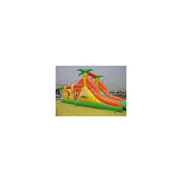 EN-14960, Commercial Inflatable Bouncer With Slide PVC Colourful Inflatable Combo Jumping Castle