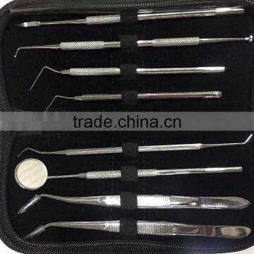 Dental Inspection Kit