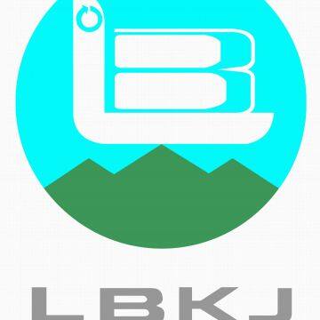 LIBO Heavy Industries Science & Technology Co., Ltd