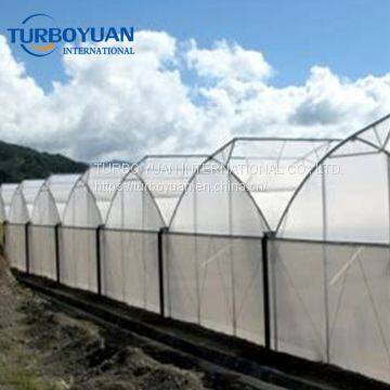 Korea white fiberglass anti insect net for greenhouse