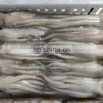 Good Quality BQF Frozen Squid Tentacle for Export photo-4