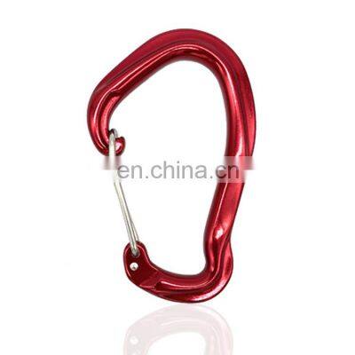 JRSGS Carabiner Clips Aluminium Snap Hook 12KN Customized the LOGO S7809S