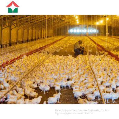 China Prefabricated Automatic Chicken House for 50000 Layers Birds photo-2