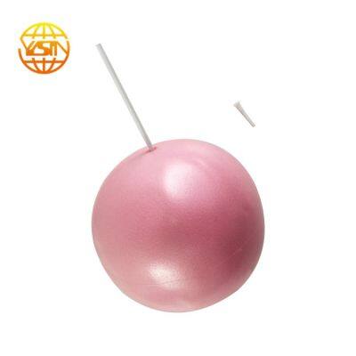 Custom Logo Widely Used 20cm 25cm Pink Yoga Pilates Ball