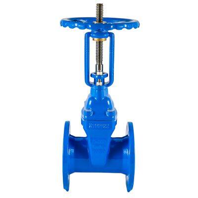 Resilient Seated Rising Stem Gate Valve for Water Supply & Industrial Pipeline Control