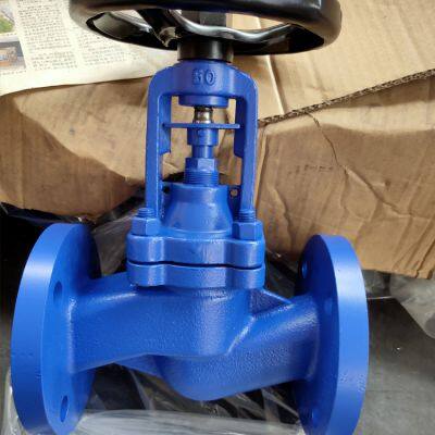 PN16 GG25 Cast Iron One Way Rising Stem Flange End Bellow Sealed Globe Valve Manual Shutoff for Water OEM Customizable photo-4
