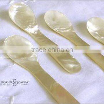 Caviar Mother of pearl spoon from VITRAPRO