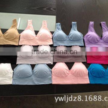 2015 Seamless mutiple colors comfortable wearing yoga bra sports bra with padding 3 pcs set removable pads